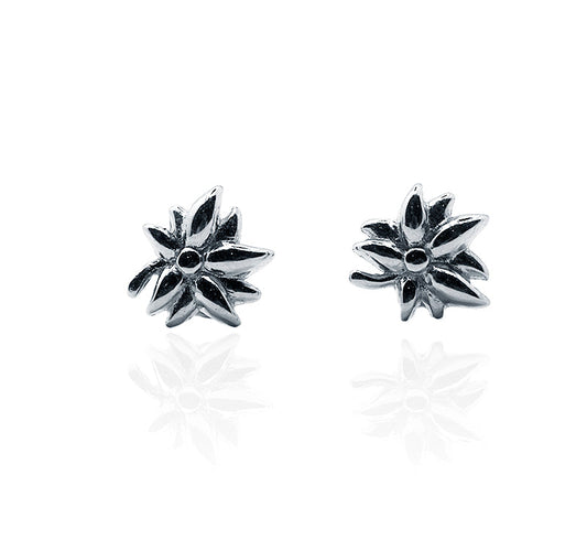 Tina Silver 925 Studs