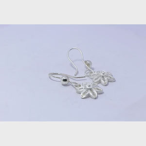 hiAnayaS ilver 925 Earrings